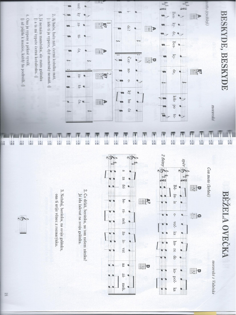 Scan 0004 | PDF