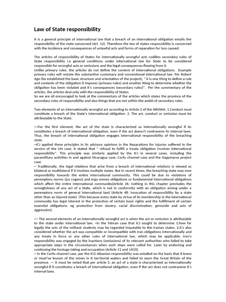 Understanding State Responsibility in International Law | PDF ...