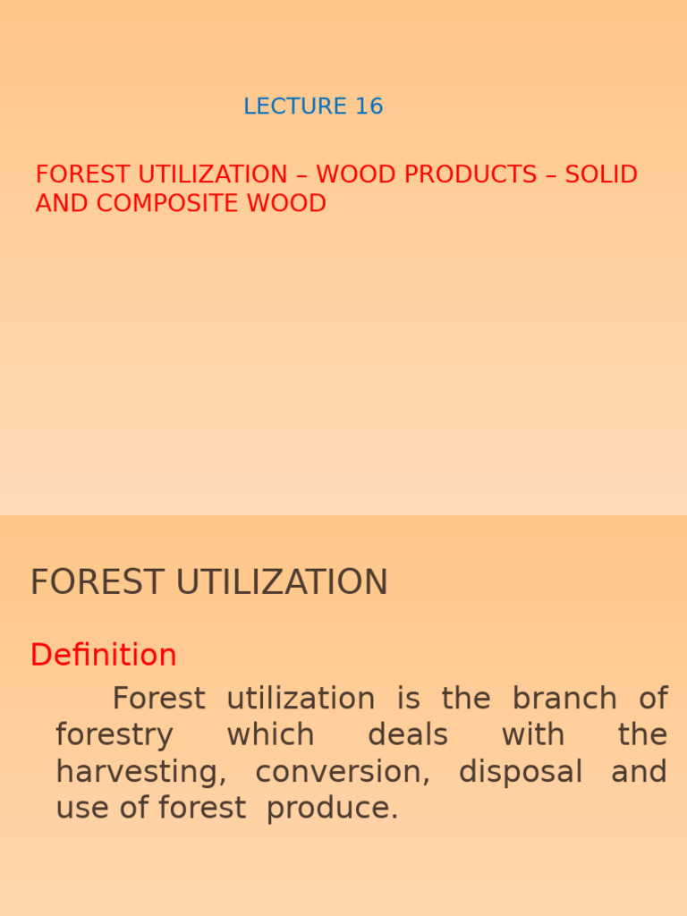 Forest Utilization: Wood Products Overview | PDF | Wood | Plywood