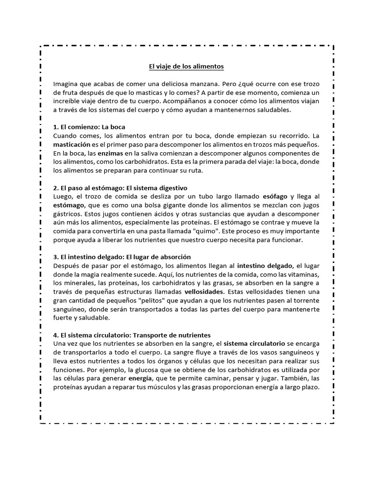 El Viaje De Los Alimentos En El Cuerpo Pdf Digestión Nutrientes