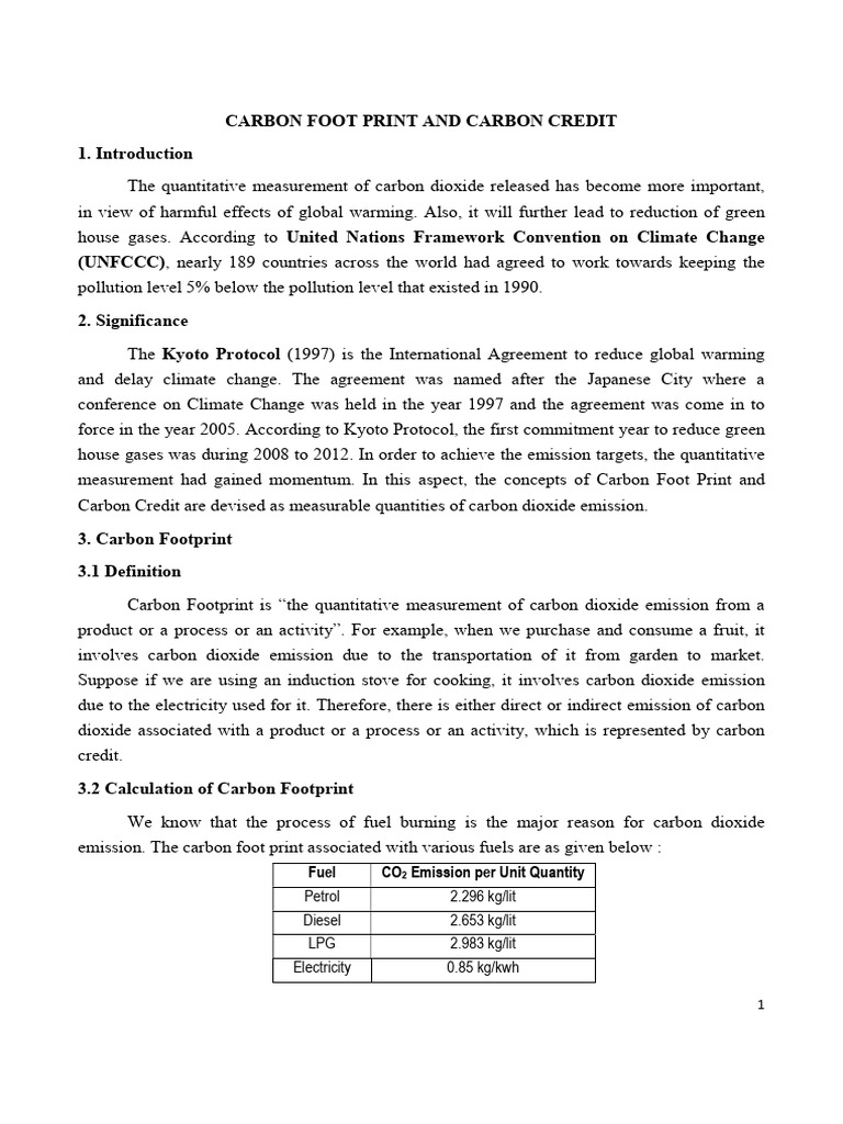 Understanding Carbon Footprint & Credits | PDF | Carbon Footprint ...