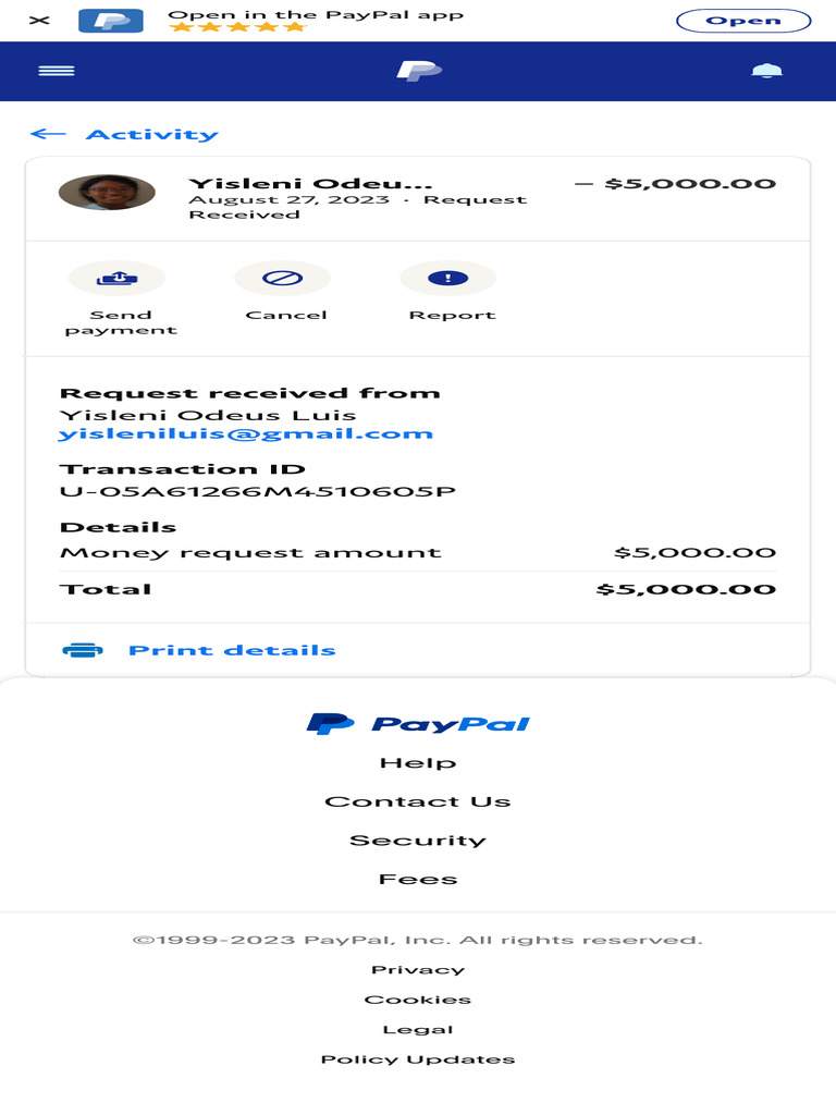 PayPal Transaction Details | PDF