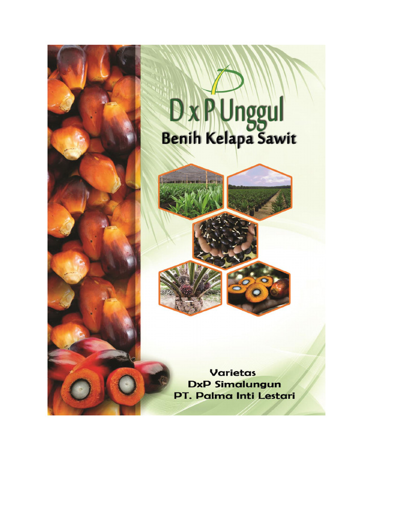 Brosur Pt Pil 2023 Rev 2 Pdf