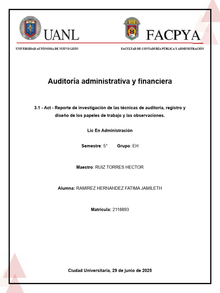 Técnicas y Proceso de Auditoría Financiera | PDF | Auditoría | Marketing