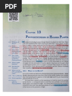 P Block Elements NCERT Highlighted Class 11 | PDF
