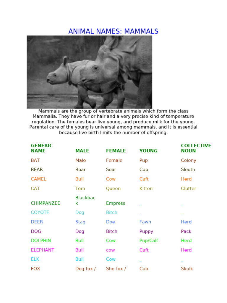 Animal Names | PDF | Birds | Mammals