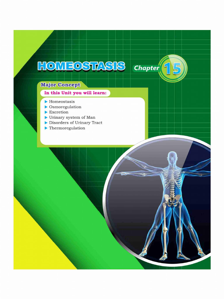 Homeostasis | PDF