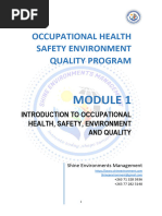 SHERQ Policy | PDF