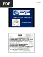 Sistema Sensorial 19 03