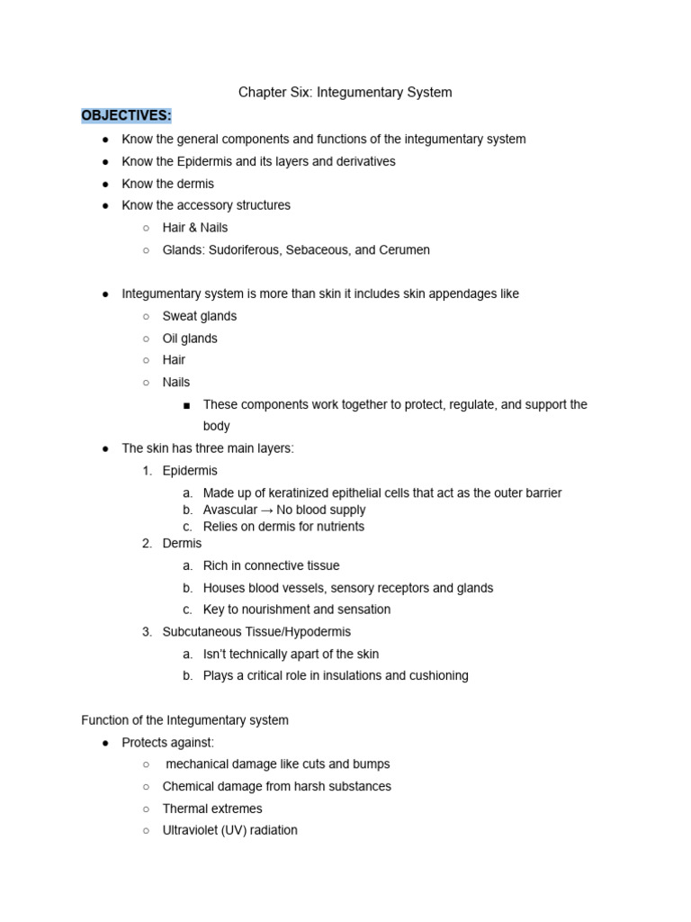 Integumentary System Overview and Functions | PDF | Skin | Epidermis