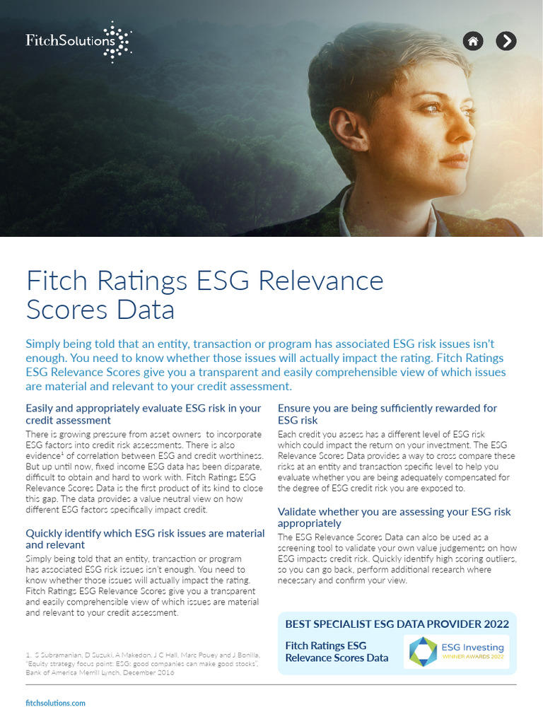 Fitch Ratings ESG Relevance Scores Explained | PDF | Risk | Credit Rating