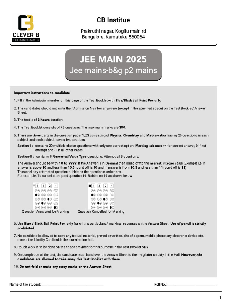 JEE Main 2025 Candidate Instructions | PDF | Mole (Unit) | Chemistry