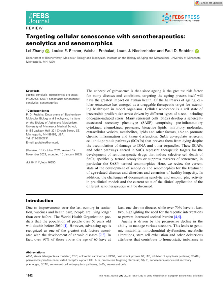 Senotherapeutics: Targeting Senescence | PDF | Apoptosis | Bcl 2
