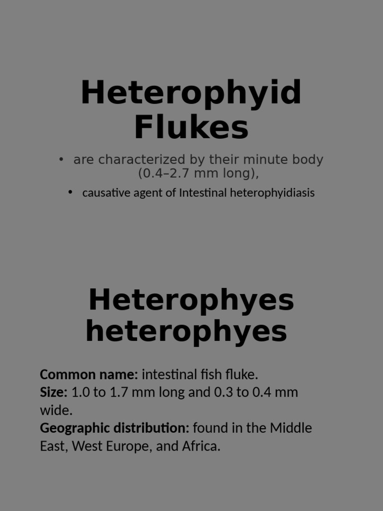 Heterophyid Flukes: Intestinal Infections | PDF
