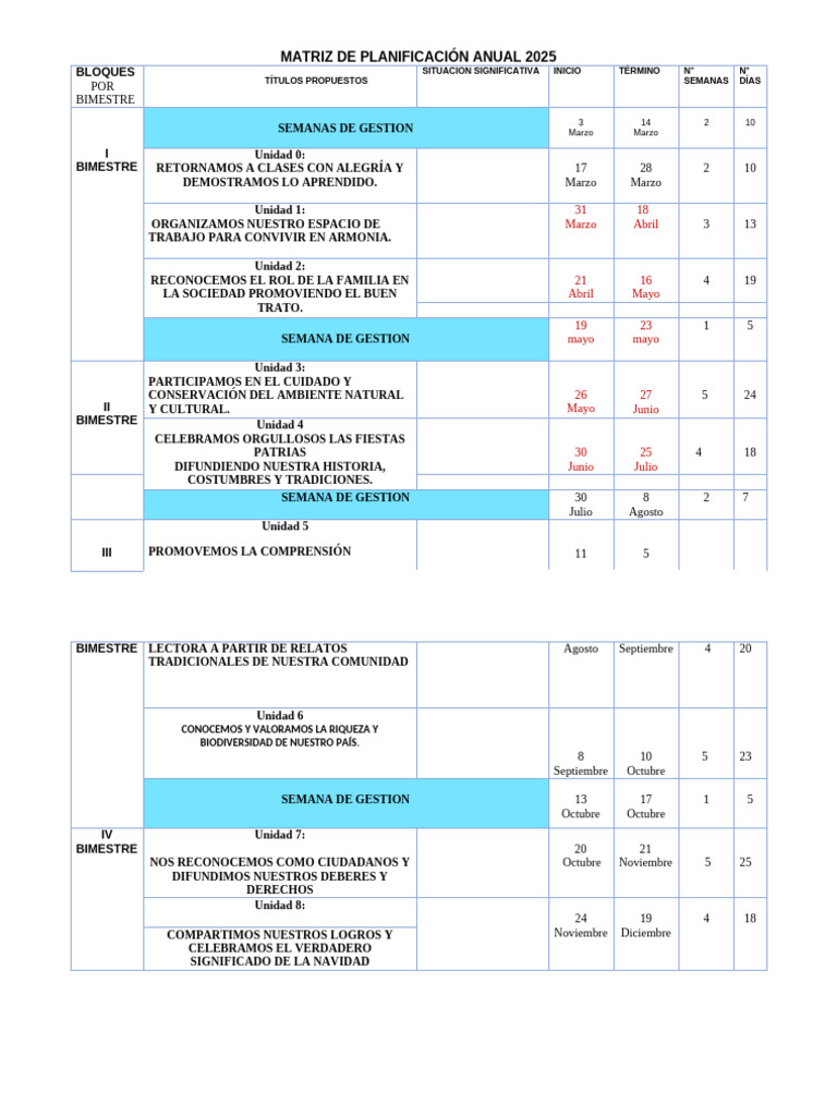Matriz de Planificación Anual 2025 | PDF