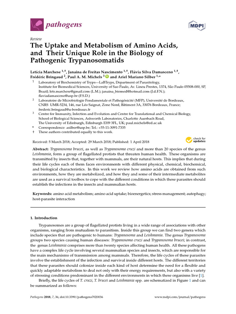 The Uptake and Metabolism of Amino Acids, and Their Unique Role in the ...