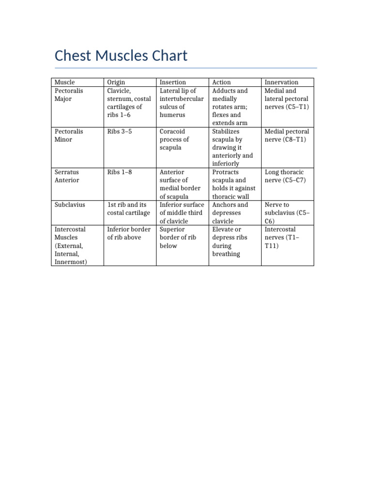 Chest Muscles Anatomy Chart | PDF