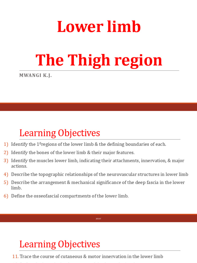 Anatomy and Function of the Lower Limb | PDF | Human Leg | Knee