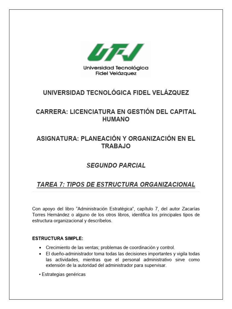 Tipos de Estructura Organizacional | PDF | Business | Economias