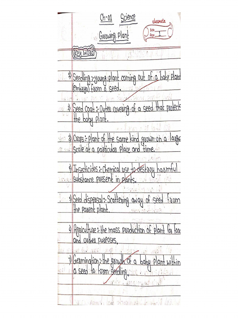 Science Fair Made by Jateen | PDF