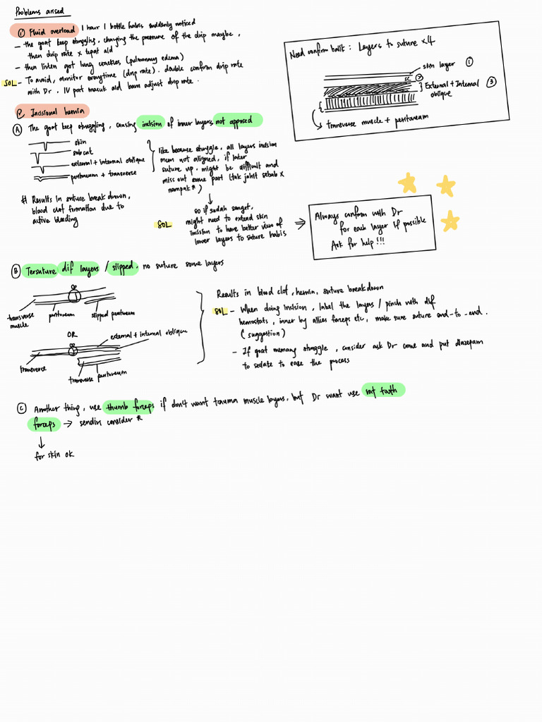 La Laparotomy Alerts 241120 200024 Pdf