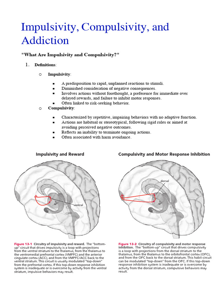 Impulsivity, Compulsivity, and Addiction Insights | PDF | Opioid ...