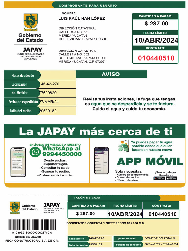 JAPAY | PDF