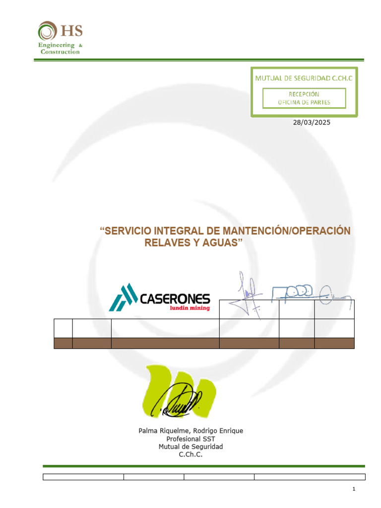 Plan de Seguridad y Salud Laboral 2025 | PDF | Seguridad y salud ...