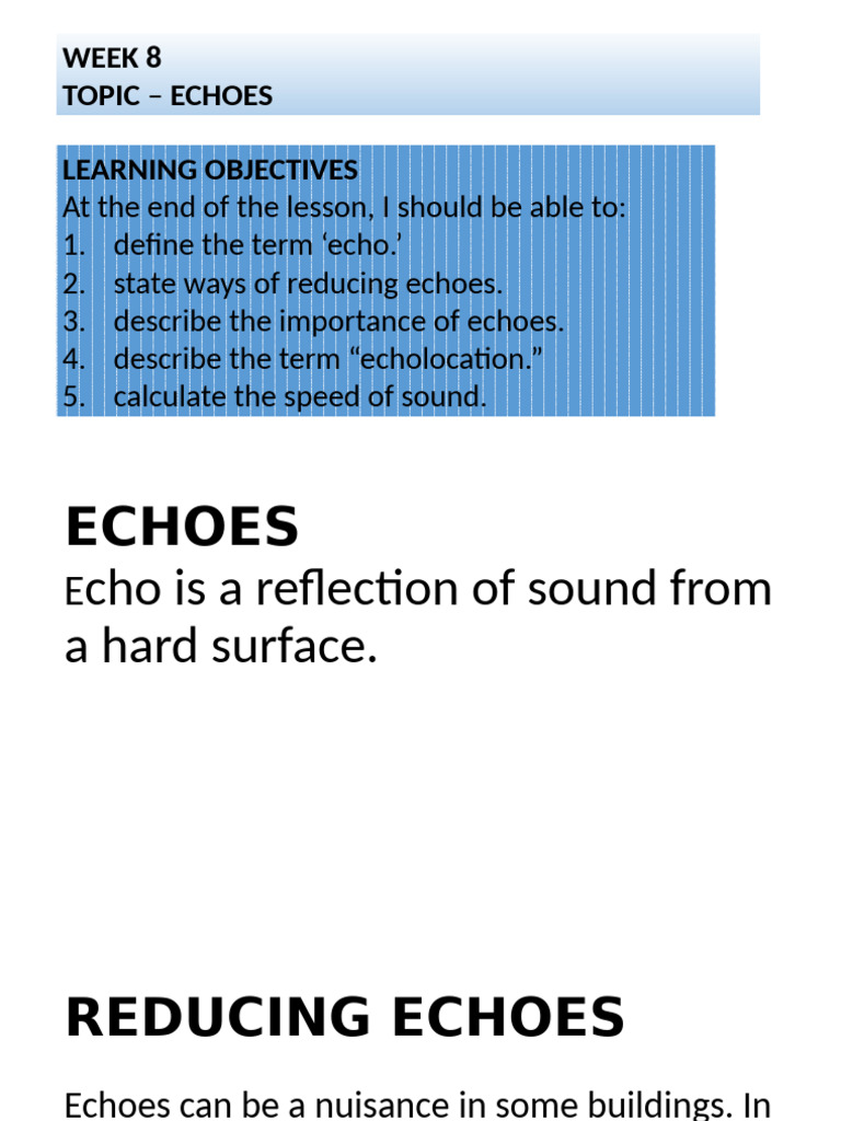 Echo | PDF