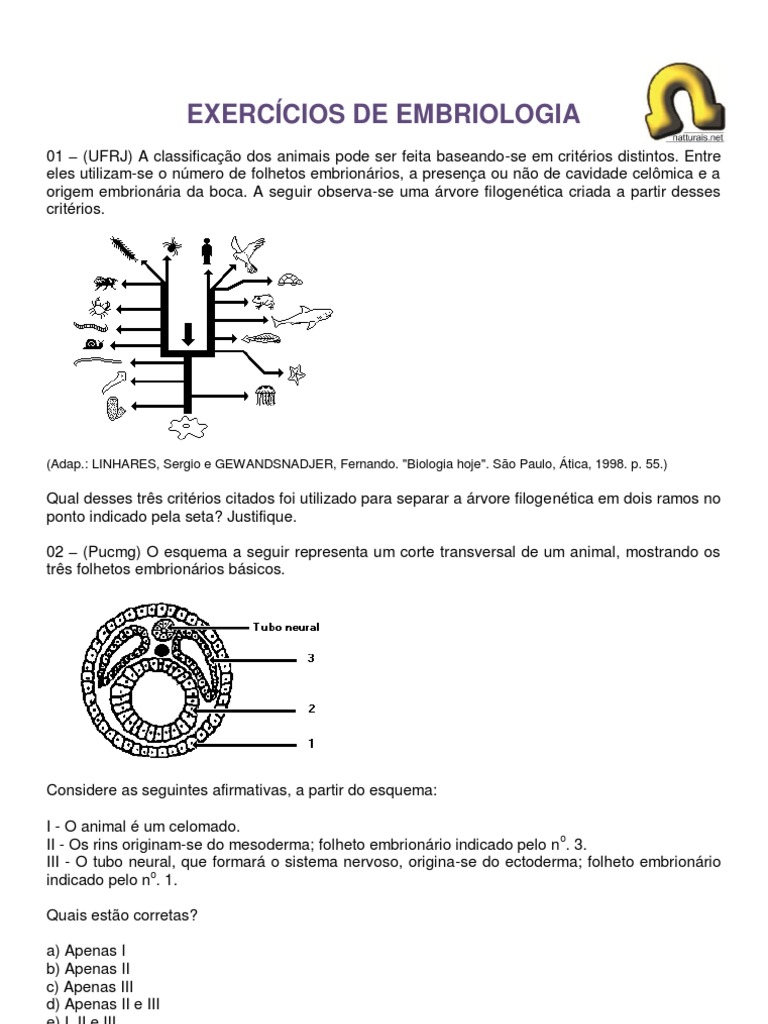 Exercícios de Embriologia | PDF | Fertilização | Sangue