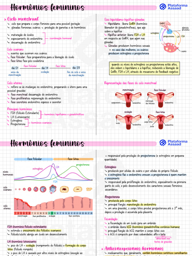 Hormônios Femininos e Ciclo Menstrual | PDF | Hormônio luteinizante ...