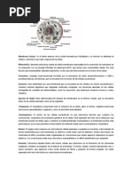 Membrana Celular