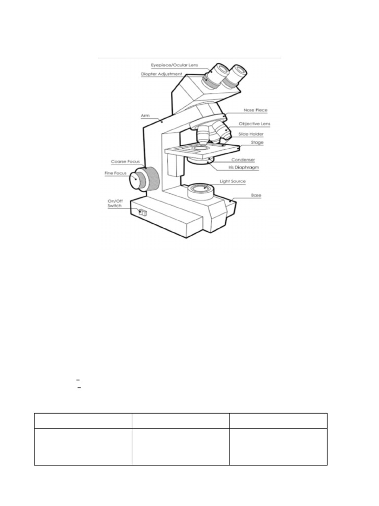 Light Microscope Overview and Usage | PDF