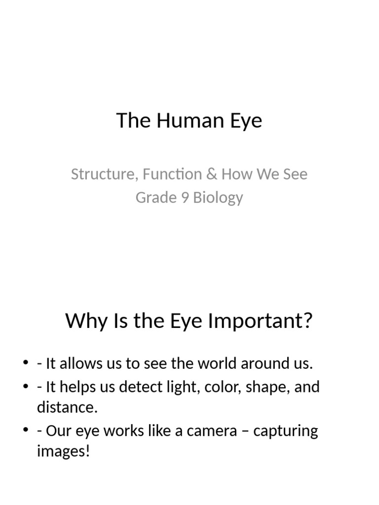 Human Eye Structure and Function | PDF