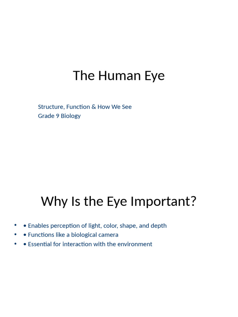 Professional Grade 9 Eye Presentation | PDF