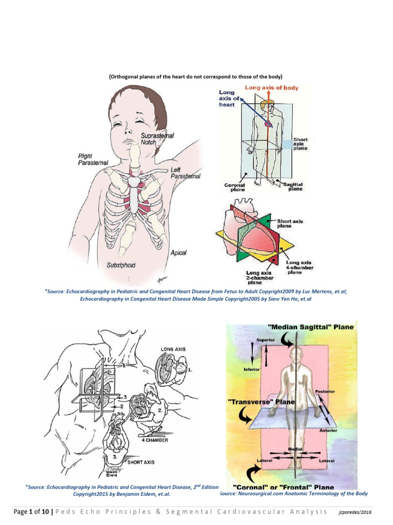 Pediatric Echocardiography Examination Principles and Segmental ...
