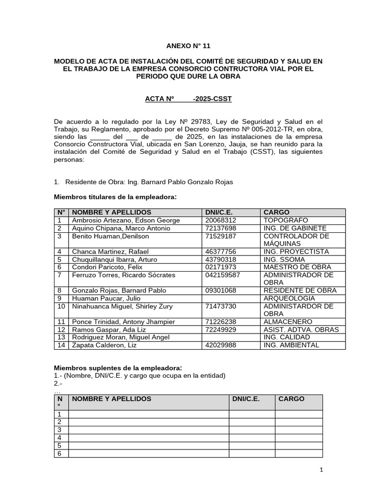 Anexo #11 - Modelo de Acta de Instalación Del CSST | PDF | Gobierno ...
