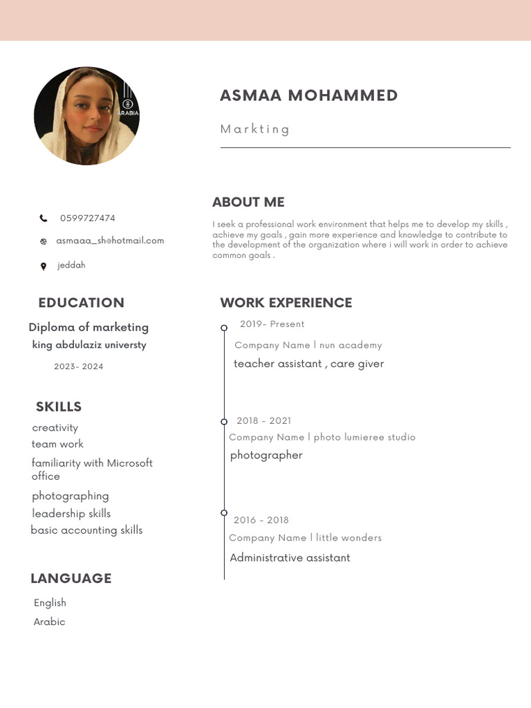 Professional Skills and Work Experience Summary | PDF