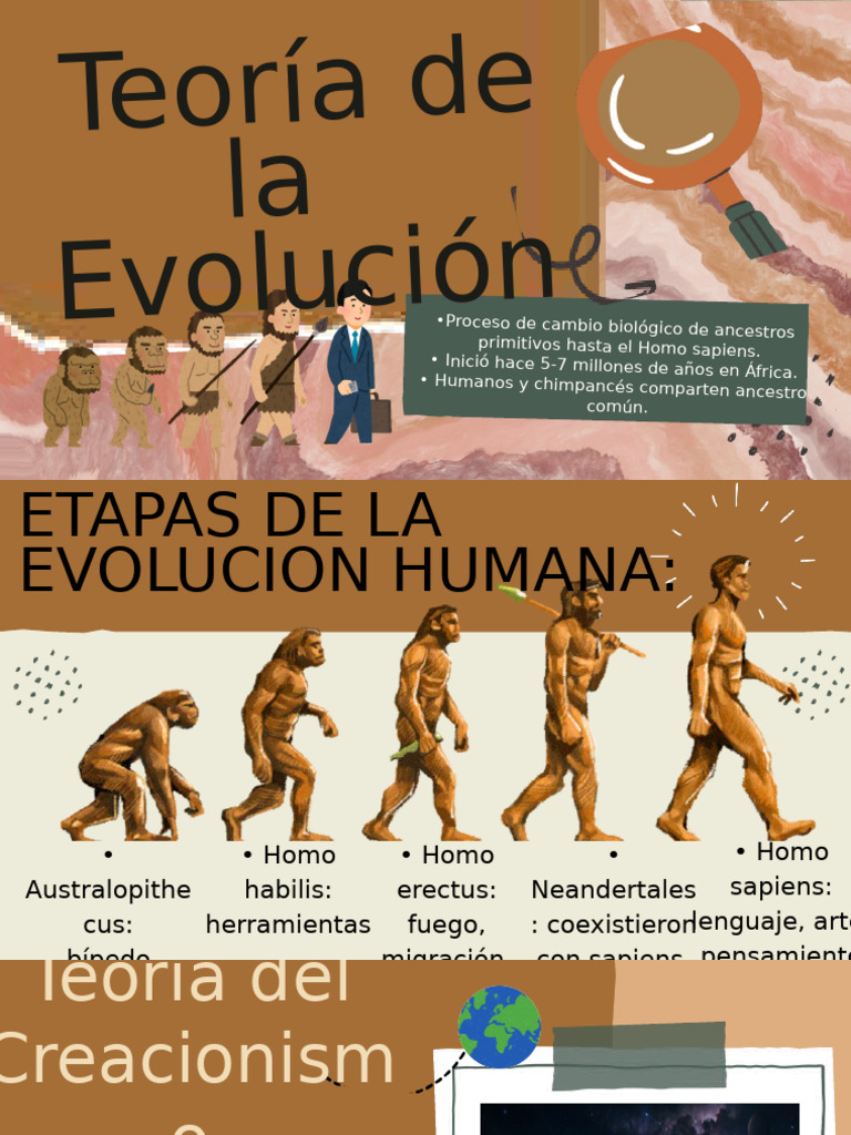 The Evidence For Evolution Education Presentation in Light Blue Style ...