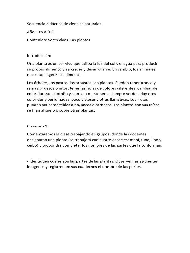 Secuencia Didáctica: Plantas para 1ro | PDF | Tallo de la planta | Hoja