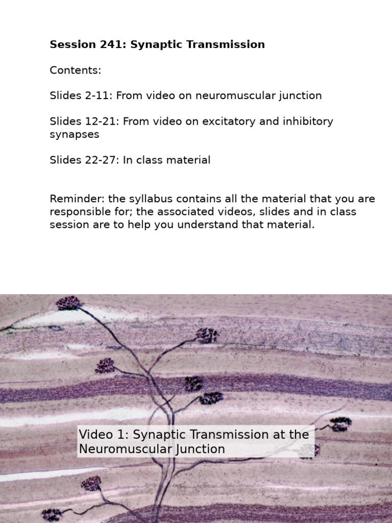 Cell Phys - Synapses and Neurotransmitters Slides | PDF | Chemical ...