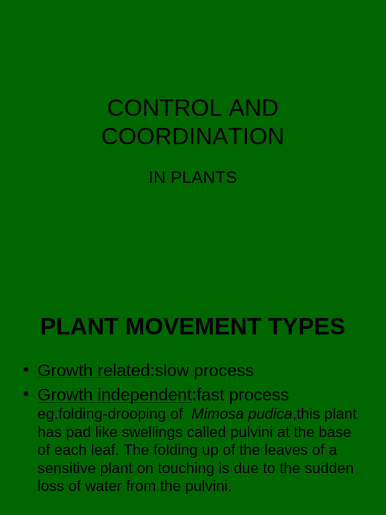 Immediate Plant Responses to Stimuli | PDF | Plants | Botany