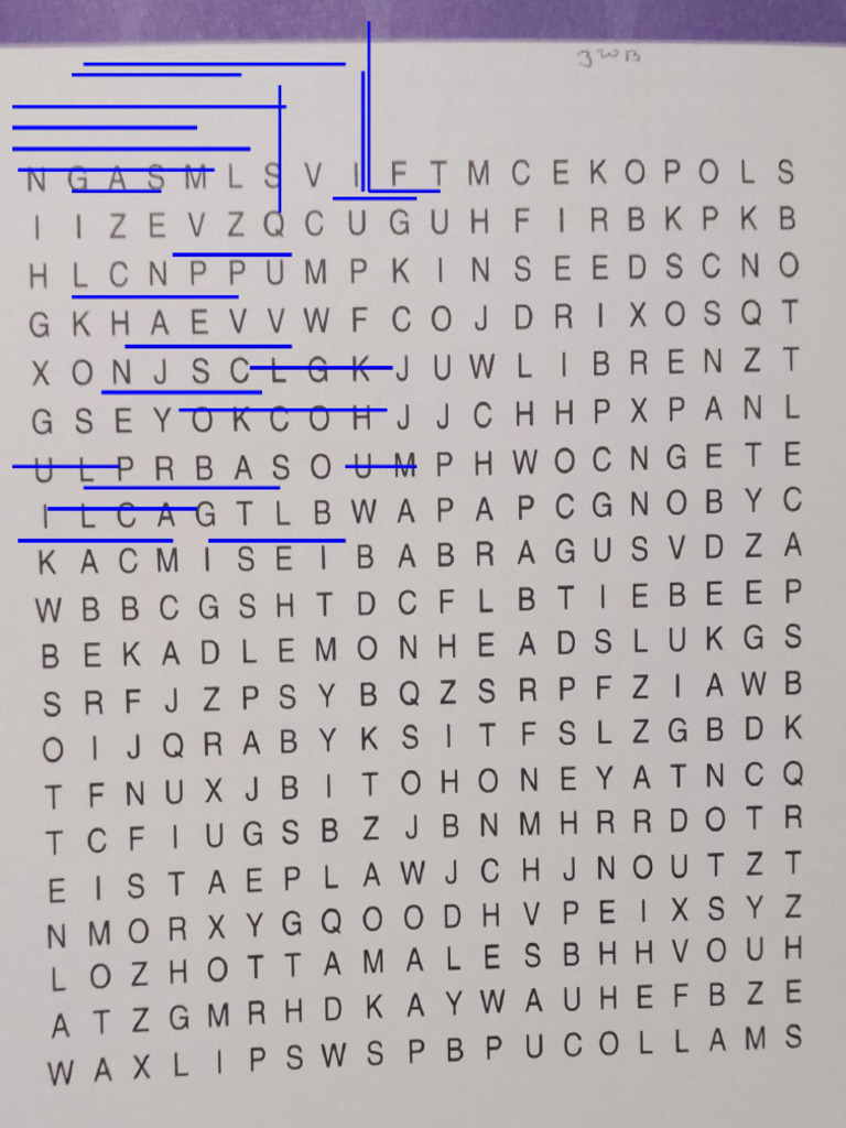 Wordsearch Solved Complete | PDF