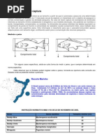 Tabela tamanhos mínimos completa