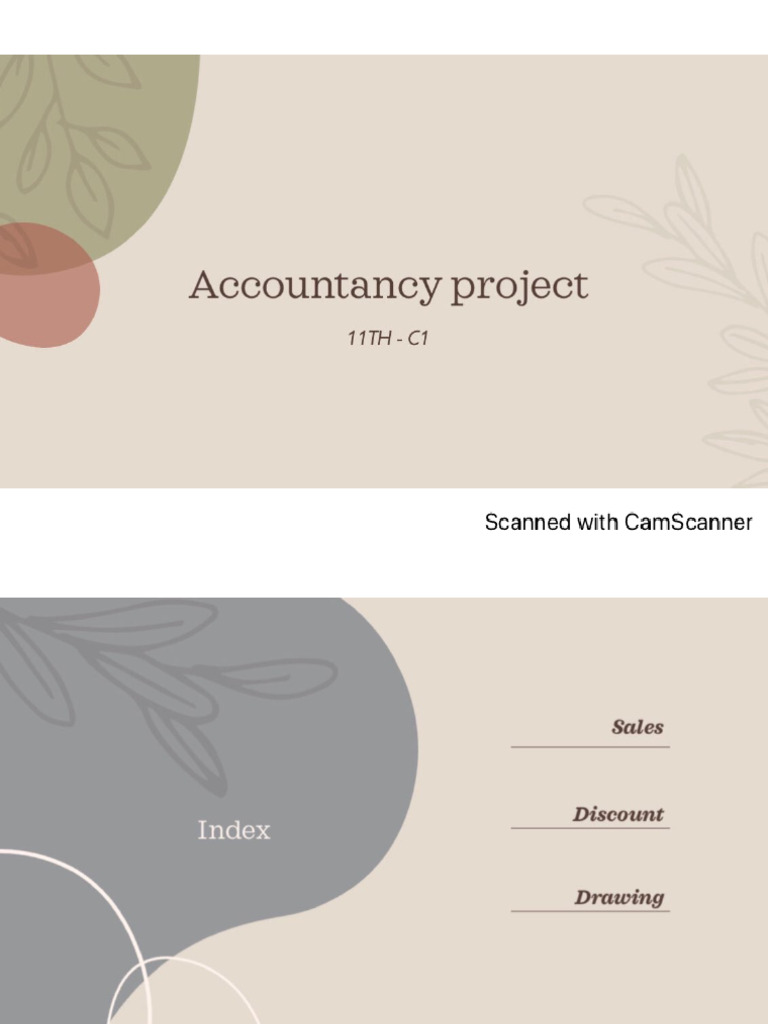 Accountancy Project | PDF