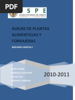 Download LBUM PLANTAS by ByRon Freire SN88326784 doc pdf