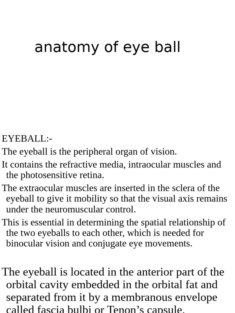 Eye Ball | PDF | Cornea | Retina