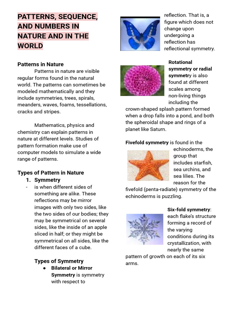 Patterns and Numbers in Nature | PDF | Pattern | Arithmetic Mean