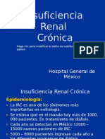 Insuficiencia Renal Completo