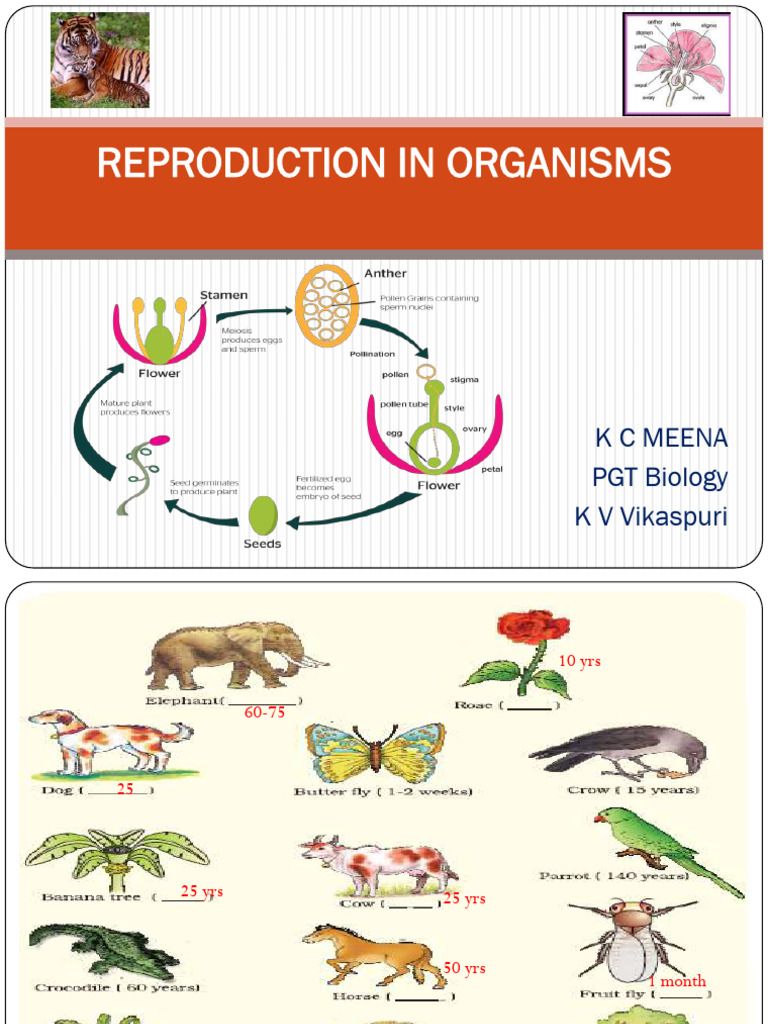 1.reproduction in Organisms | PDF | Fertilisation | Sexual Reproduction